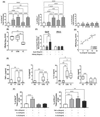 Monocyte-derived Galectin-9 and PD-L1 differentially impair adaptive and innate immune response in chronic HBV infection and their expression remain unaltered after antiviral therapy